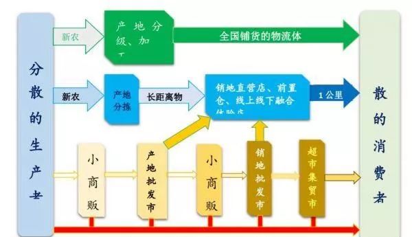 运输过程简图未来发展趋势