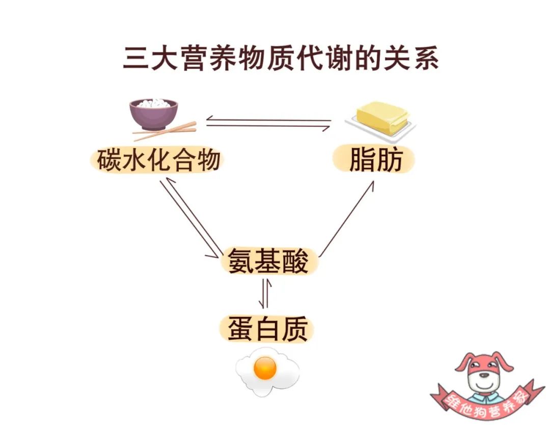 碳水化合物合成