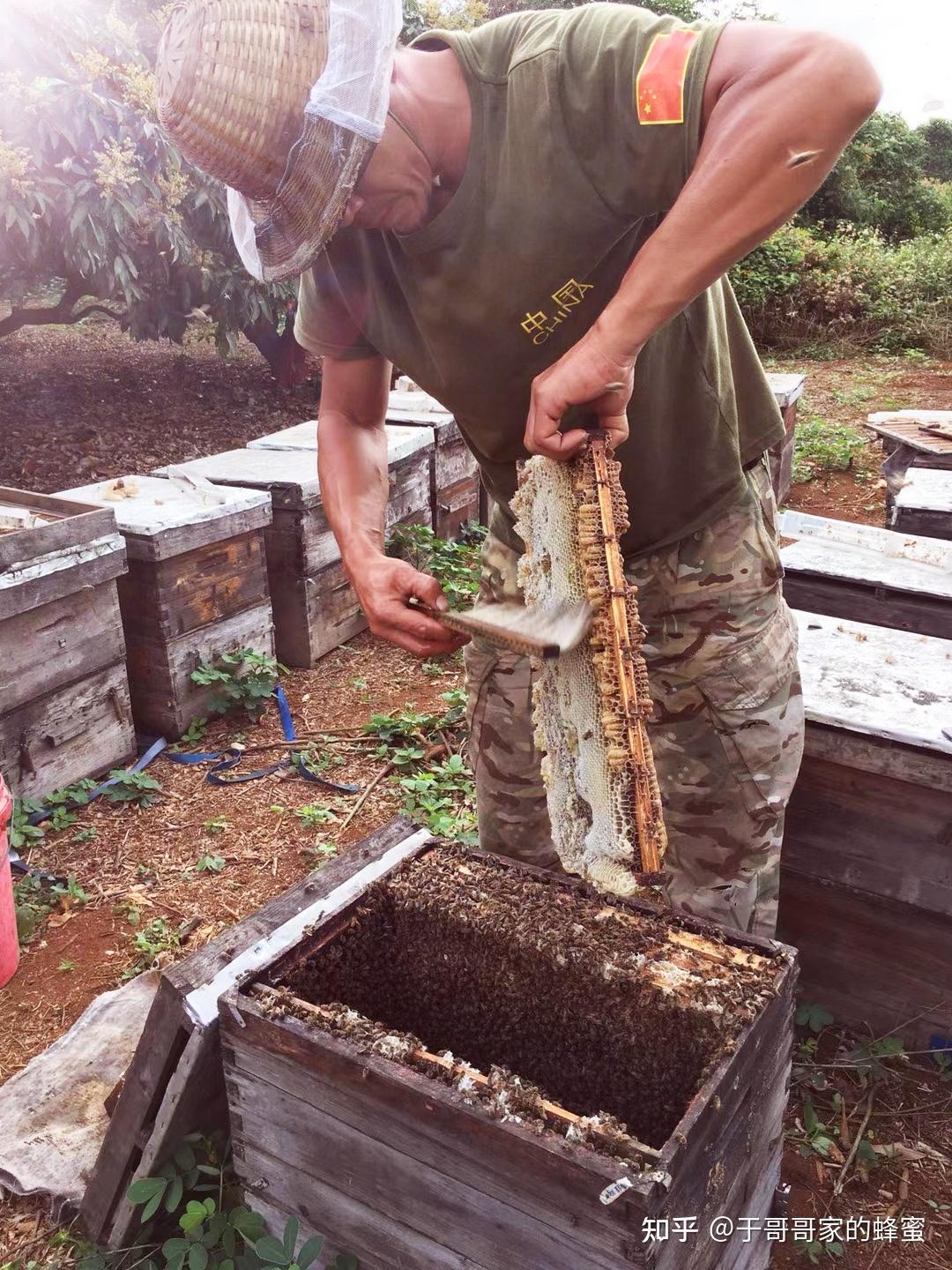 磨刀机真的有用吗？全面解析其优缺点与实用性