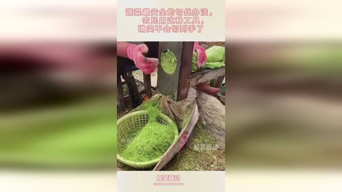 安全网与养花手套的区别