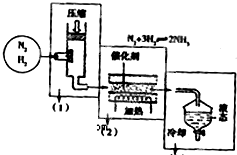 烯烃材料