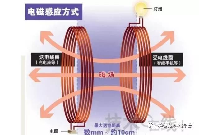 羽毛产品，多样性与广泛应用