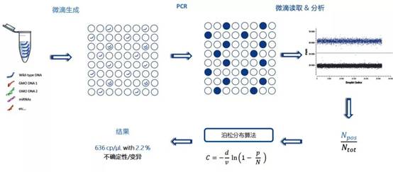 pcr扩增仪原理